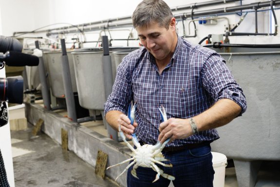 El científico Miguel Rodilla sostiene el cangrejo gigante que unos pescadores hallaron en aguas de Gandia. :: carlos ripollés